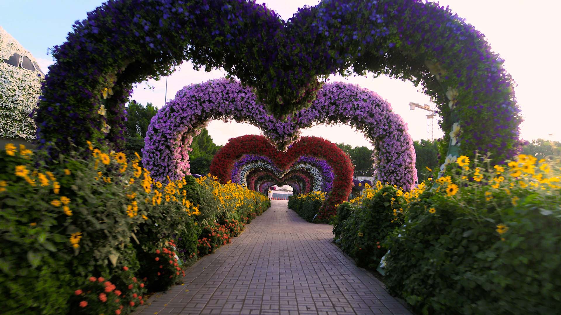 Heart Tunnel
